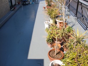 江戸川区西小岩 バルコニー防水 トップコート塗装後植木復旧写真