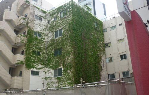 【北面・西面改修工事】東京都港区の賃貸マンション